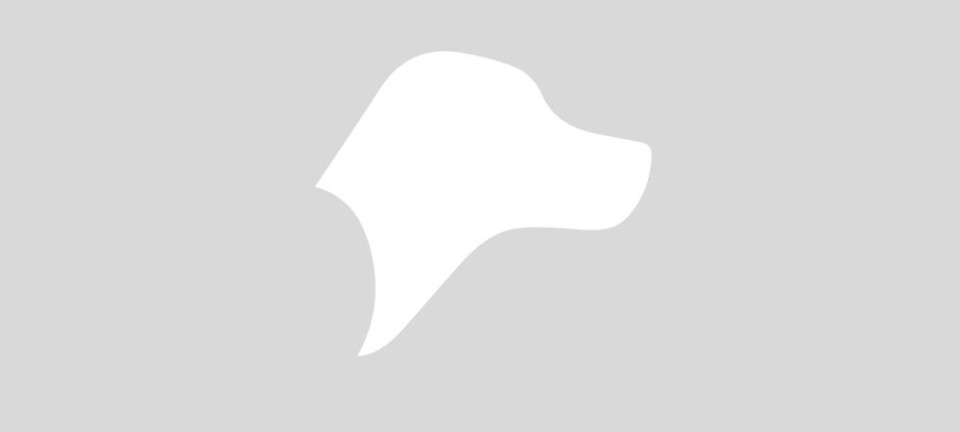 Automatic article from feed: fintech