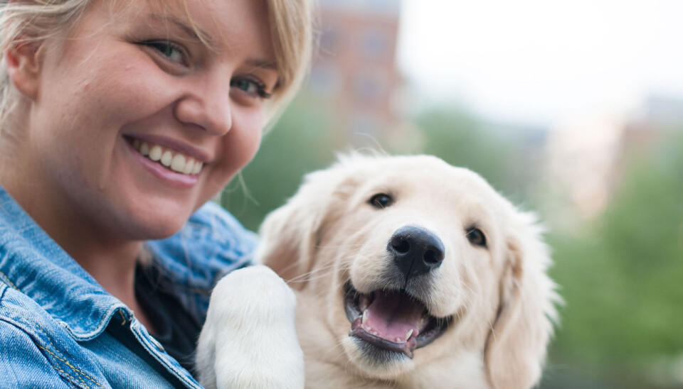 Renathe Lund sammen med en golden retriever-valp. Foto: