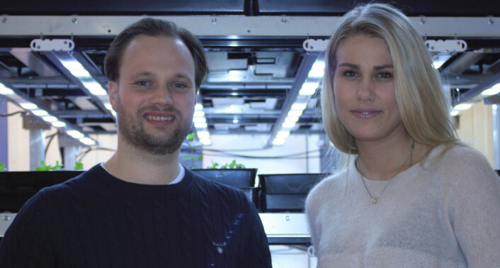 Jonathan Viklander og Silje Andersen, fotografert i de nye lokalene på Økern. Jonathan Viklander og Silje Andersen, fotografert i de nye lokalene på Økern.