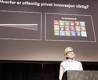 Anita Krohn Traaseth fikk en advarsel fra Innovasjon Norge-styret på 13 punkter