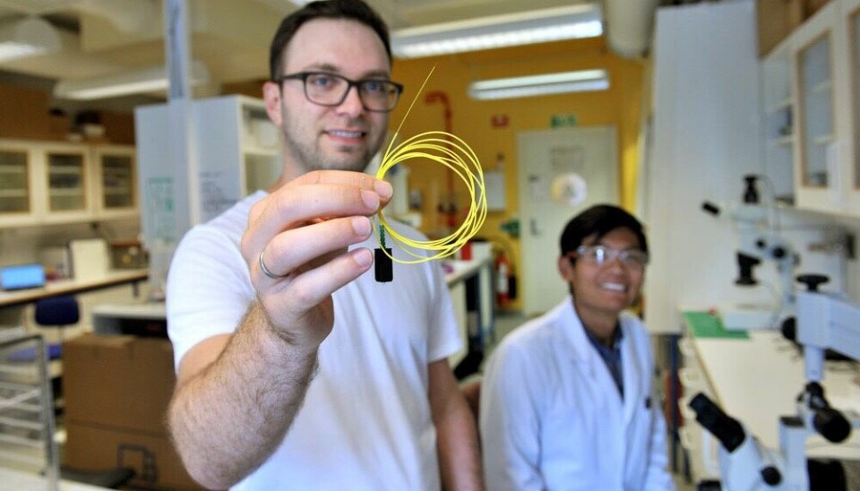 Daglig leder Nicolas Elvemo viser fram den fiberoptiske kabelen som føres inn i pasientens blodåre for å måle glukosenivå i sanntid. I bakgrunnen sitter kjemiker Jin Han. Foto: Rune Sævik