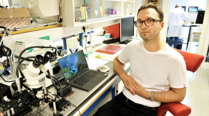 Medtech-bedriften Glucoset og daglig leder Nicolas Elvemo har fått stipend fra EU både med den gamle, søknadsbaserte prosessen, og med den nye basert på standard forretningsplan. ─ Det er blitt enklere og mer forutsigbart, konkluderer han. Foto: Rune Sævik Medtech-bedriften Glucoset og daglig leder Nicolas Elvemo har fått stipend fra EU både med den gamle, søknadsbaserte prosessen, og med den nye basert på standard forretningsplan. ─ Det er blitt enklere og mer forutsigbart, konkluderer han. Foto: Rune Sævik