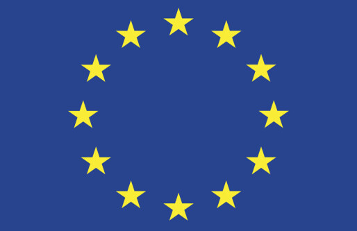 Har stemt over ny EU-lov i dag: -- Et skjebnespørsmål for internett