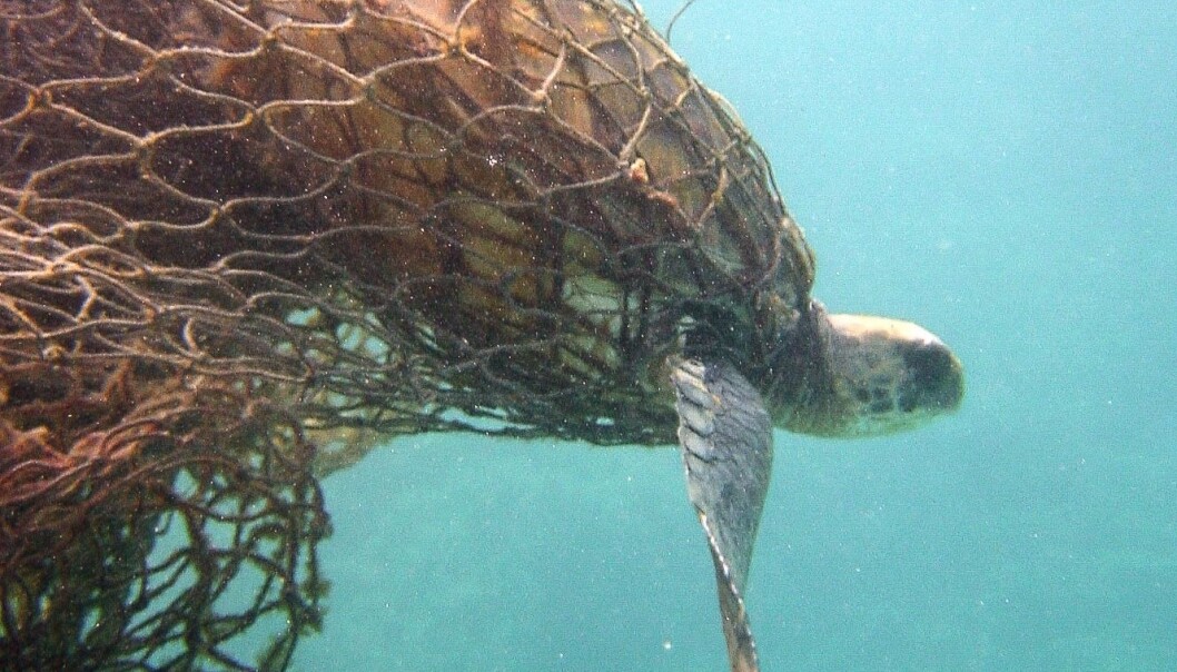 Illustrasjonsfoto: AP Photo/National Oceanic and Atmospheric Administration, Jacob Asher. Illustrasjonsfoto: AP Photo/National Oceanic and Atmospheric Administration, Jacob Asher.