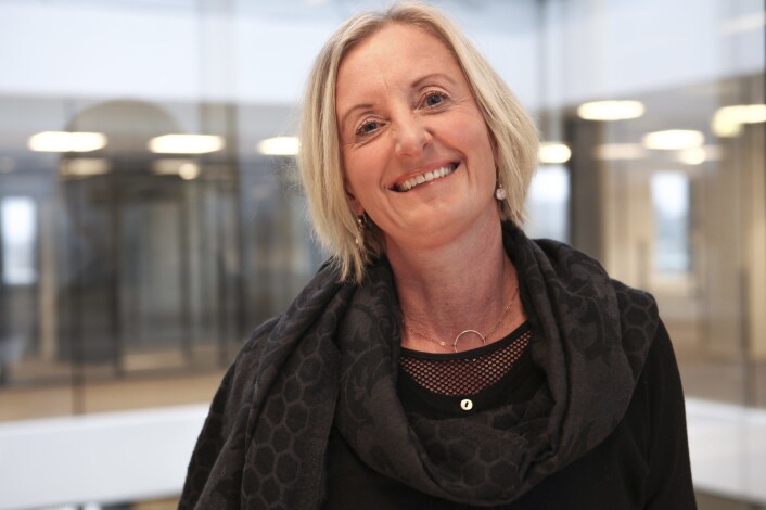 Hilde Lyngstad, avdelingsdirektør i direktoratet for e-helse. Foto: Press Hilde Lyngstad, avdelingsdirektør i direktoratet for e-helse. Foto: Press