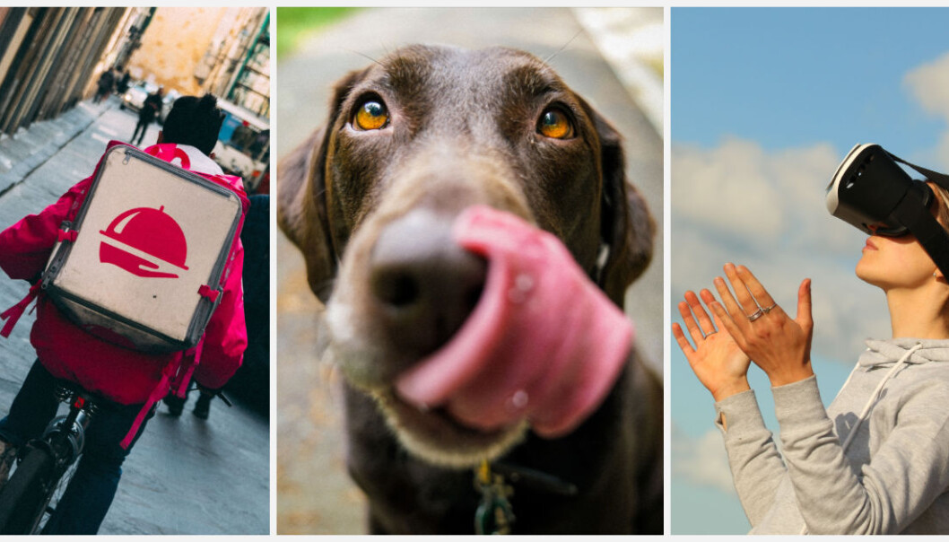 1. april: Foodora lanserte matlevering på tandemsykkel, Dyrekassen.no lanserte stemmestyring til hunder og Conta Faktura lanserte faktura-betaling med VR-briller. Illustrasjonsfoto: Unsplash 1. april: Foodora lanserte matlevering på tandemsykkel, Dyrekassen.no lanserte stemmestyring til hunder og Conta Faktura lanserte faktura-betaling med VR-briller. Illustrasjonsfoto: Unsplash