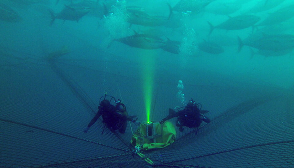 Det avanserte 3D-kameraet UTOFIA (Underwater Time Of Flight Image Acquisition) er utviklet for bruk under vann, men dets egenskaper kan nå føre til at det blir sendt til verdensrommet.