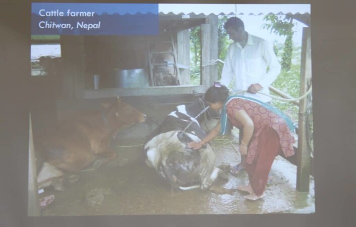 Ved å installere solcelle-anlegg på denne gården i Chitwan i Nepal, kunne de sette opp en vannpumpe som betydde at de slapp å måtte bruke mye ressurser på å hente vann. Det har medført en økning i melkeproduksjonen på 20 prosent. Ved å installere solcelle-anlegg på denne gården i Chitwan i Nepal, kunne de sette opp en vannpumpe som betydde at de slapp å måtte bruke mye ressurser på å hente vann. Det har medført en økning i melkeproduksjonen på 20 prosent.