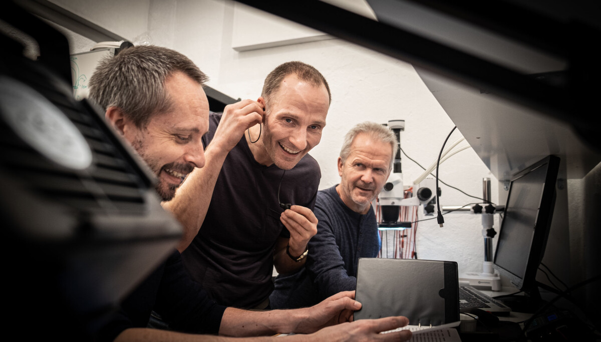 – Hvis du virker litt arrogant eller blir litt irritert, da er det «game over»