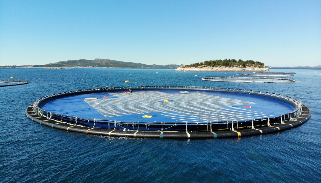 Ocean Sun har klart å kombinere solenergi med maritim teknologi på en genial måte. Foto: Ocean Sun. Ocean Sun har klart å kombinere solenergi med maritim teknologi på en genial måte. Foto: Ocean Sun.