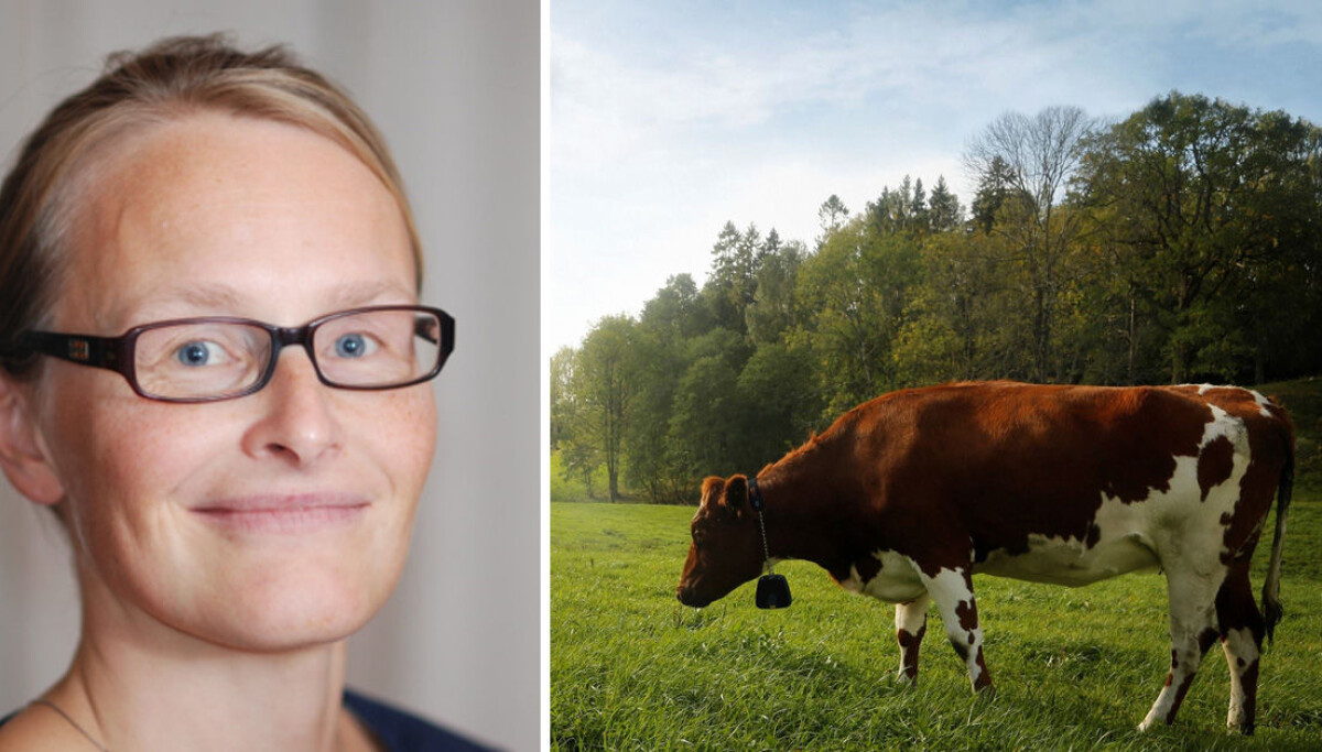 Mens spørsmål om selvforsyning blir stadig viktigere, bruker Nofence krisen til å styrke posisjonen internasjonalt