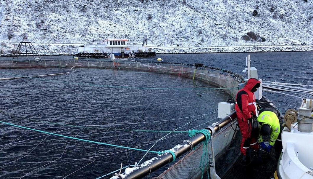 Mowi samarbeider med store og små om teknologiutvikling innen fisk og oppdrett. Mowi samarbeider med store og små om teknologiutvikling innen fisk og oppdrett.