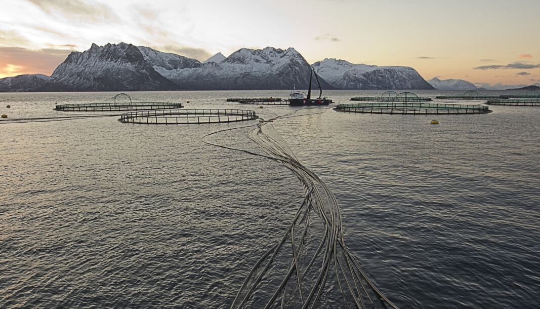 Flakstadvg, Senja. Foto: Terje Bendiksby / Scanpix Flakstadvg, Senja. Foto: Terje Bendiksby / Scanpix