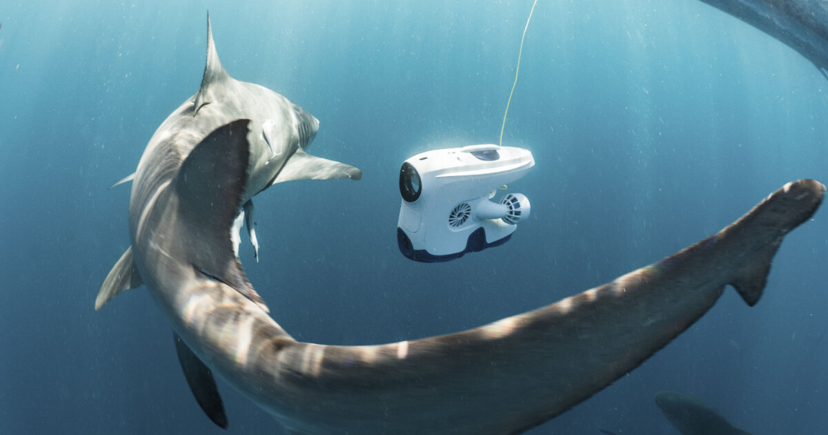 Eierne satser nye millioner på undervannsdronen Blueye: «Avgjørende for selskapets videre utvikling»