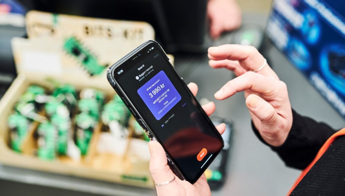 Nordmenn «vippset» til ny rekord i sommer