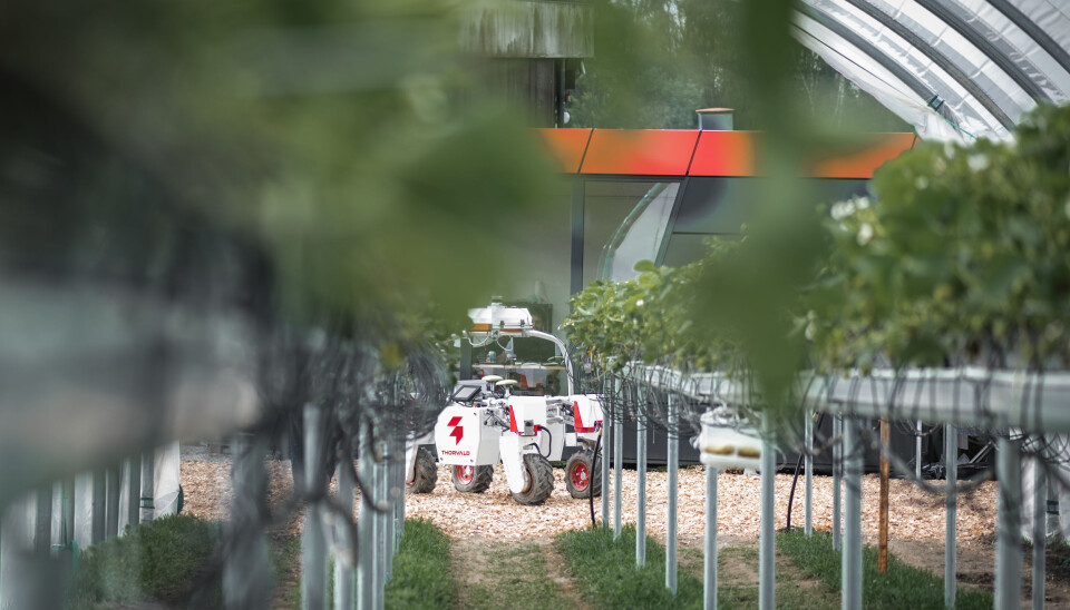 The Thorvald robot by Saga Robotics.