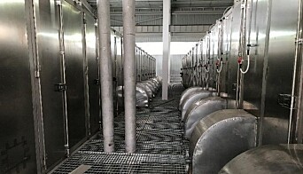 Bilde mellom to av fire beltetørker i Changsha, Kina, som tilsammen tørker 500 tonn kloakkslam per døgn. Hver tørke kondenserer 3750 liter vann/time fra slammet. Bilde mellom to av fire beltetørker i Changsha, Kina, som tilsammen tørker 500 tonn kloakkslam per døgn. Hver tørke kondenserer 3750 liter vann/time fra slammet.