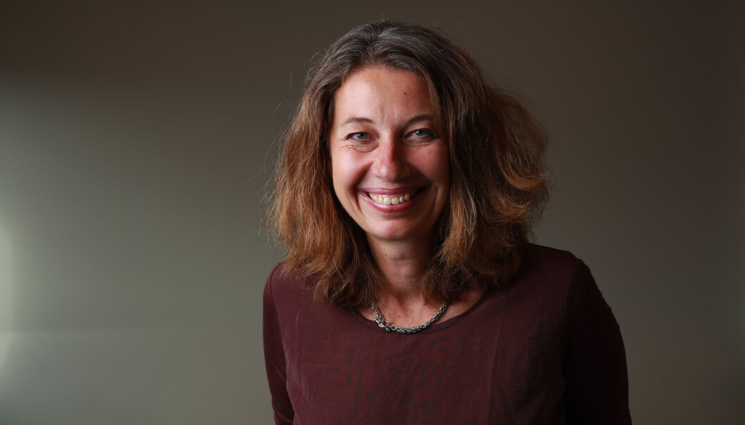 Styregrossist Silvija Seres kan addere et nytt selskap til listen når hun nå blir styrmedlem i det nordiske betalingsinitiativet P27 Styregrossist Silvija Seres kan addere et nytt selskap til listen når hun nå blir styrmedlem i det nordiske betalingsinitiativet P27