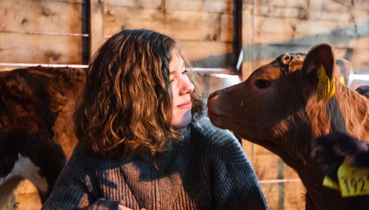 Lokal mat er milliardbutikk: Nå jakter denne startupen en større del av kaka