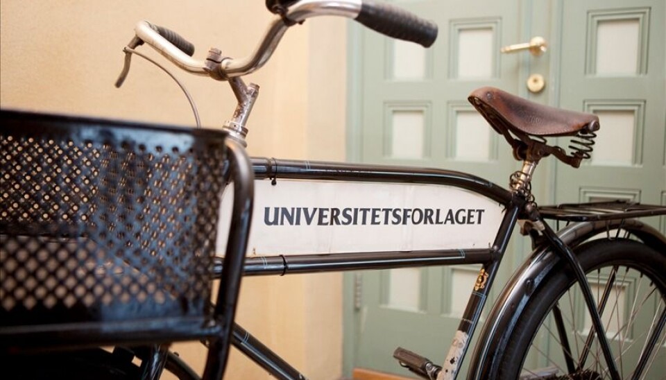 Leder digital tjenesteutvikling