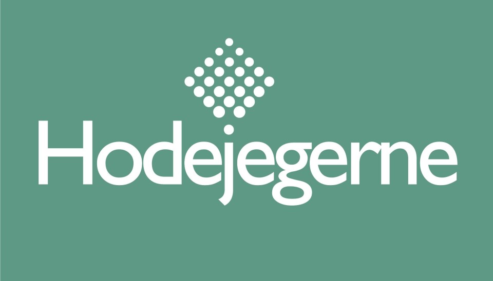 Leder digital tjenesteutvikling