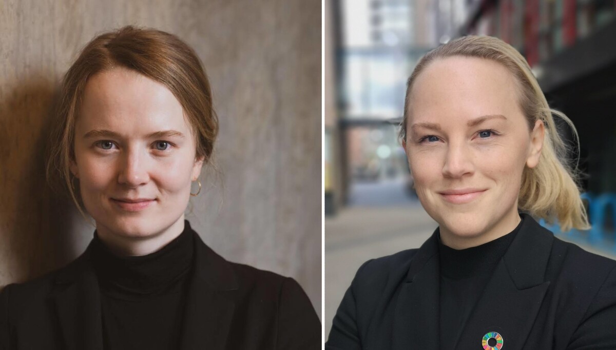 De viktigste erfaringene fra et vellykket samarbeid mellom en startup og en stor bedrift