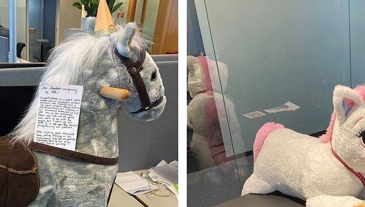 Hesteveddeløpet: Derfor sender norske superselskaper hverandre kosedyr i posten