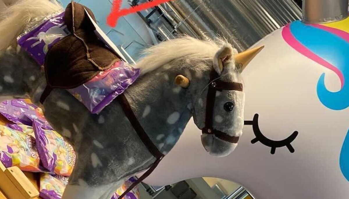 «Uavhengig av hvilken bragd det har vært å bygge Cognite; du er ikke en underdog når du starter med 50 millioner i banken»