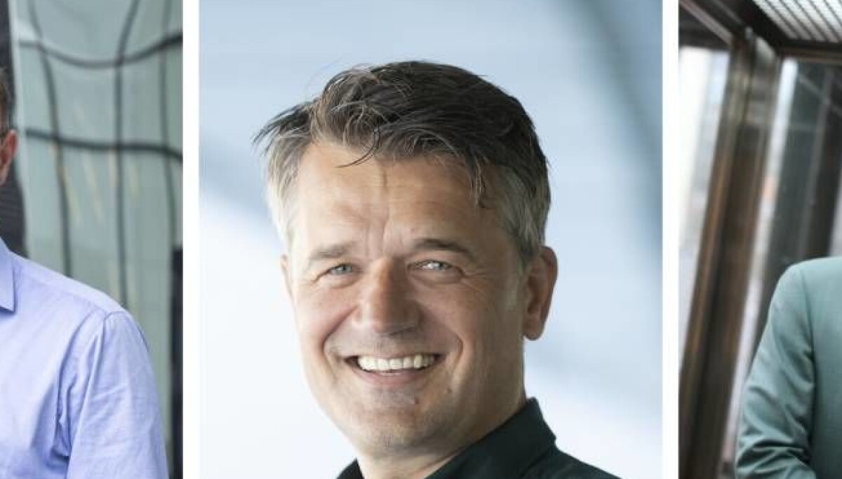 Ekspertene mener Vipps-fusjonen er «logisk», men ett viktig spørsmål gjenstår