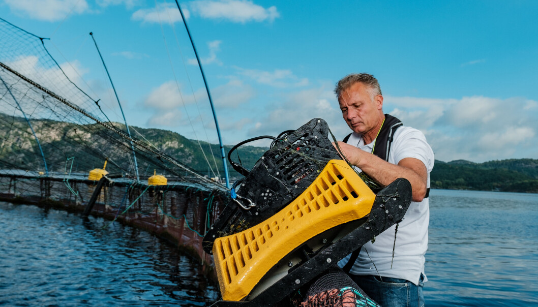 Gründer Leiv Midthassel byttet ut olje med fisk, og startet Remora Robotics i 2016. Nå er han klar for produksjon i stor skala. Gründer Leiv Midthassel byttet ut olje med fisk, og startet Remora Robotics i 2016. Nå er han klar for produksjon i stor skala.
