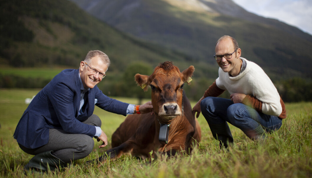 Fra venstre: CEO i Nofence, Knut Bentzen, Mille, og leder for produkt og utvikling, Oscar Hovde Berntsen. Fra venstre: CEO i Nofence, Knut Bentzen, Mille, og leder for produkt og utvikling, Oscar Hovde Berntsen.