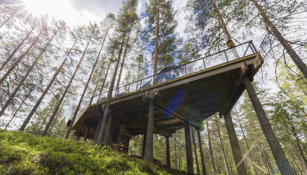 Ferie i det fri, ja det vil vi! Trenden gir grobunn for oppstartsselskapet Campanyon, en slags Airbnb for naturnære feriedestinasjoner. Ferie i det fri, ja det vil vi! Trenden gir grobunn for oppstartsselskapet Campanyon, en slags Airbnb for naturnære feriedestinasjoner.