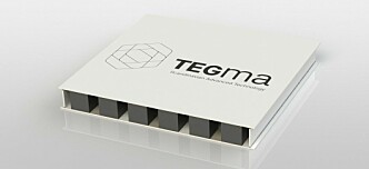 Technical Project Manager | TEGma