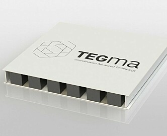 Technical Project Manager | TEGma