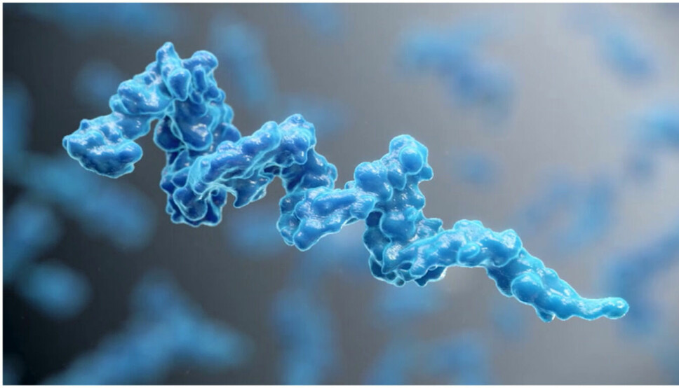 Cytovation står bak oppdagelsen avmolekylet CyPep-1 (bilde), som hjelper kroppens immunforsvar til å forstå hvordan det skal angripe kreftsvulster