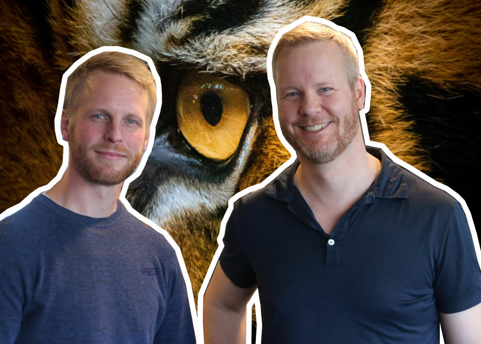 Tiger Global har festet blikket på gründerbrødrene Stig Olav og Bård Anders Kasin i PortalOne.