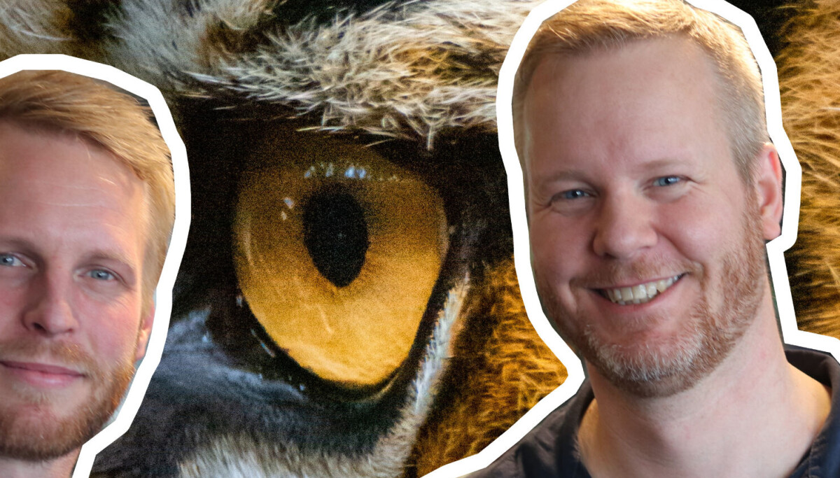 Slik jakter Tiger enhjørninger: Lynraske avgjørelser, ingen kontroll