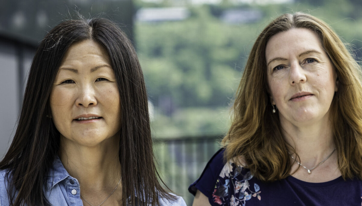 Lifeplanner konkurs: – Det er tøft å måtte fortelle store og små investorer at de ikke vil få den avkastning vi forespeilet dem