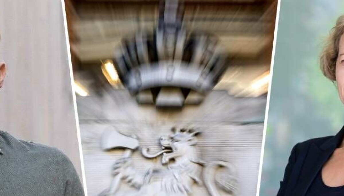 Nettbil-saken ankes til Høyesterett