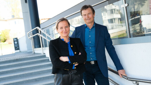 Nå skal Anette Mellbye lede milliardprosjekt på Hedmarken. Slutter i Innovasjon Norge