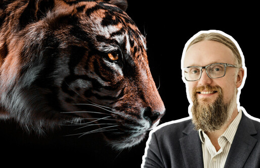 Tiger Global kollapser, men denne venture-sjefen tror strategien er kommet for å bli