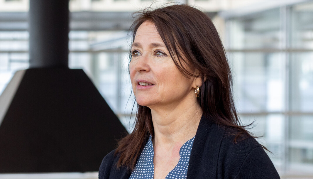 Cathrine Laksfoss, administrerende direktør i Schibsted Ecommerce & Distribution. Cathrine Laksfoss, administrerende direktør i Schibsted Ecommerce & Distribution.