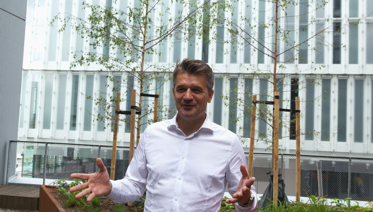 Vipps-sjefen: – Her ligger den store muligheten for Vipps