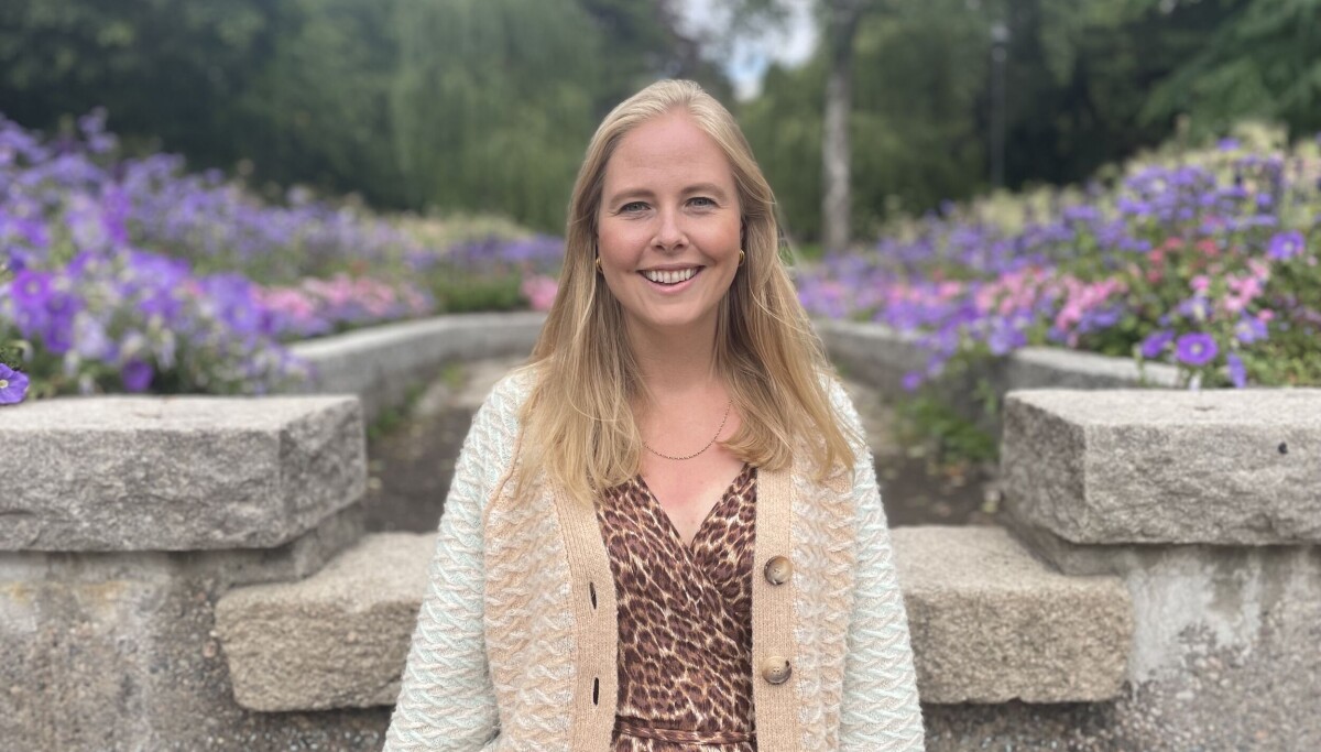 Knallår i sikte for Fjong