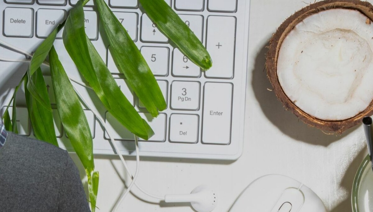 Ole Johan Bjerke gikk på «high-five-smell» da han skulle holde sin første pitch: – Jeg har fortsatt ikke hentet meg inn