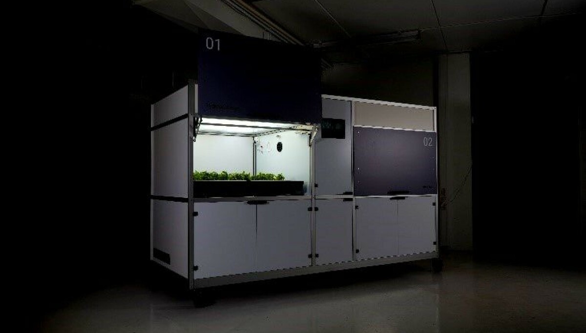 Grunnen til at nye investorer satser millioner på vertikalt landbruk