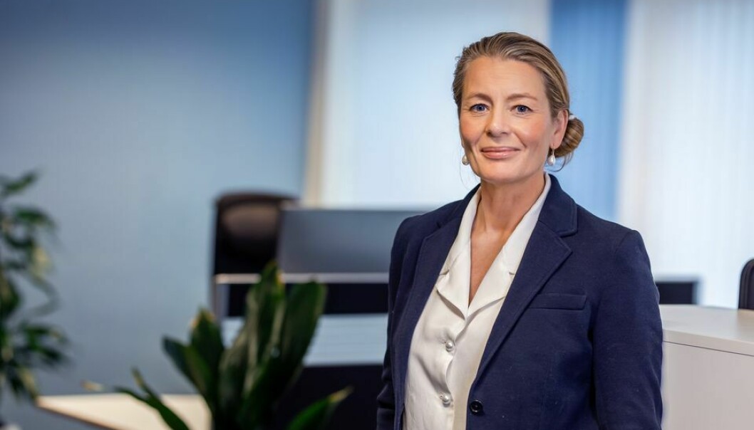 Patentstyrets direktør, Kathrine Myhre, mener Norge trenger flere bein å stå på.