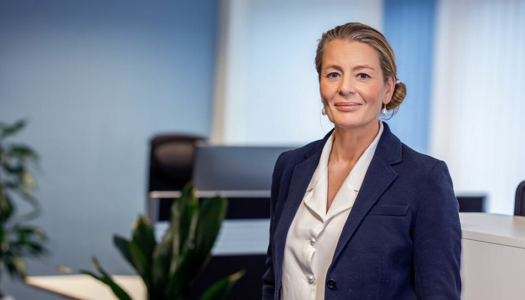 Patentstyrets direktør, Kathrine Myhre, mener Norge trenger flere bein å stå på. Patentstyrets direktør, Kathrine Myhre, mener Norge trenger flere bein å stå på.