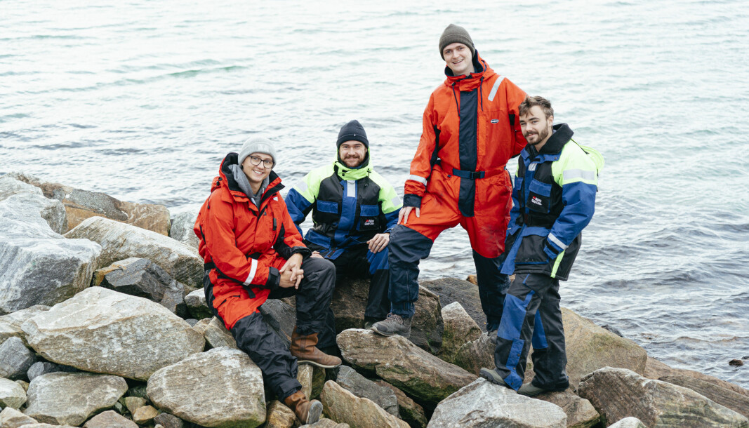 Kelpinor-teamet: Hermann Schips, Christoffer Joys Røang, Johan Ludvig Holst og Ole Jørgen Holthe. De møttes på NTNUs entreprenørskapsskole