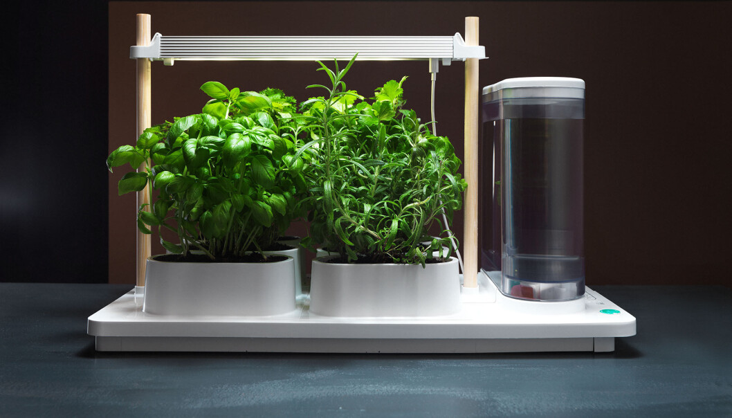 Plantedyrkeren til Auk Eco Plantedyrkeren til Auk Eco
